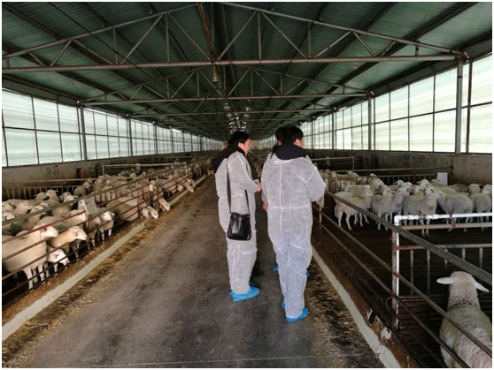 1526347840205905.png blob.png